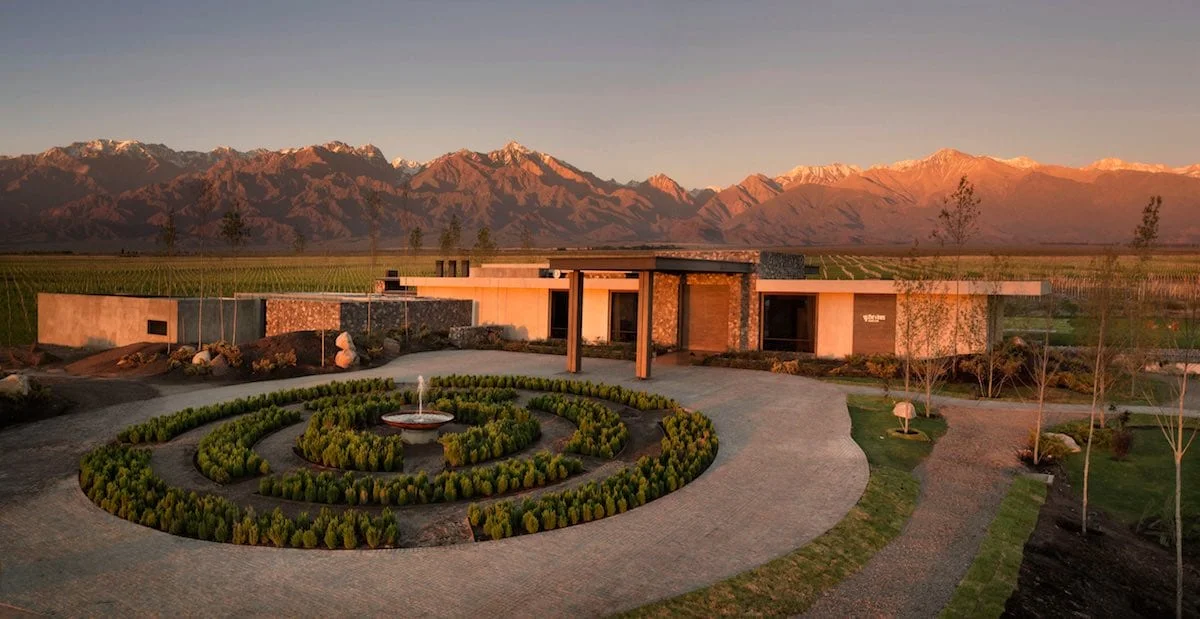 The Vines Of Mendoza