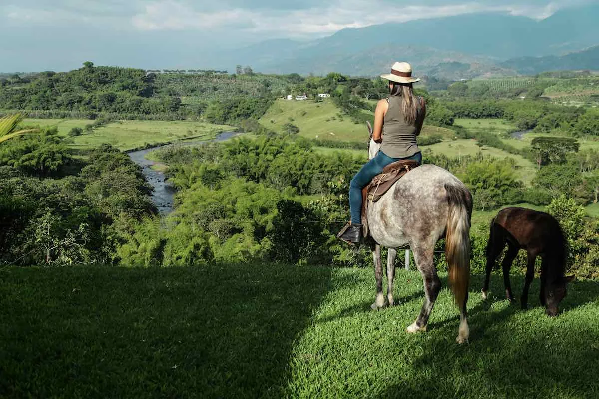 Hacienda Bambusa