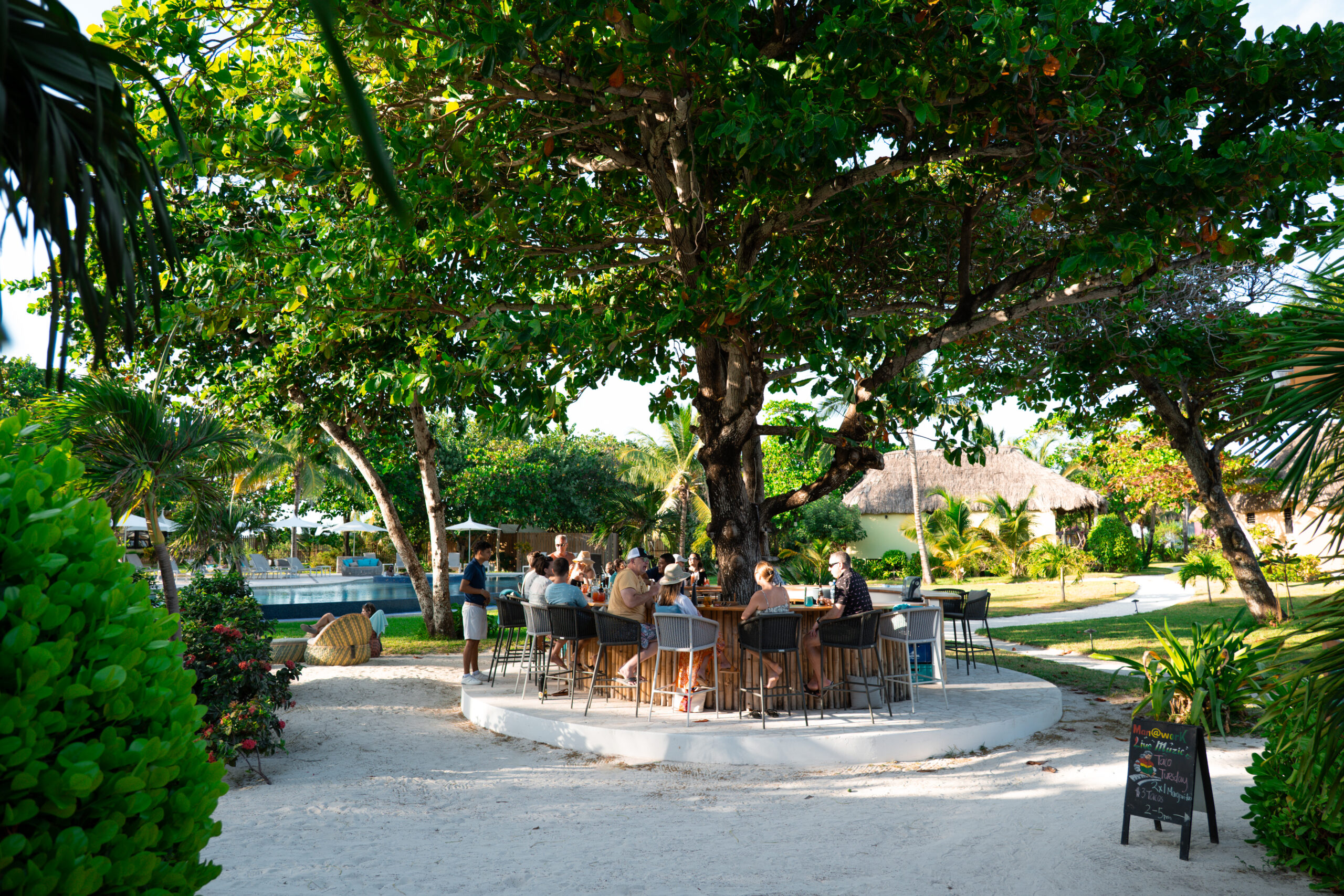 Danny’s Tree Bar