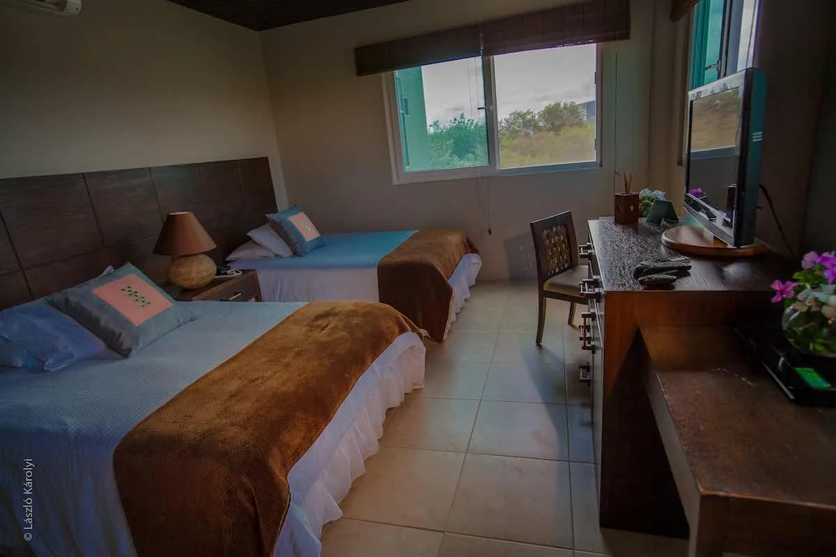 Volcano View Room