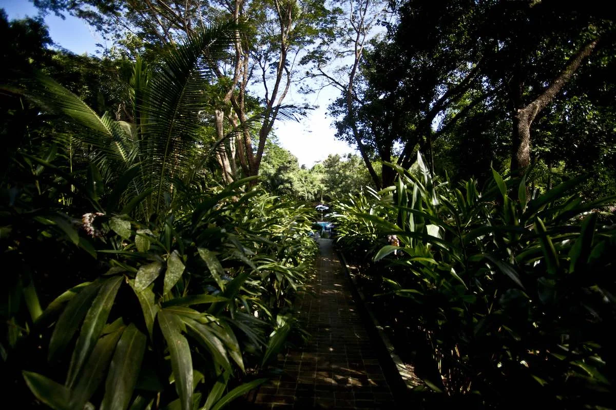 Gardens
