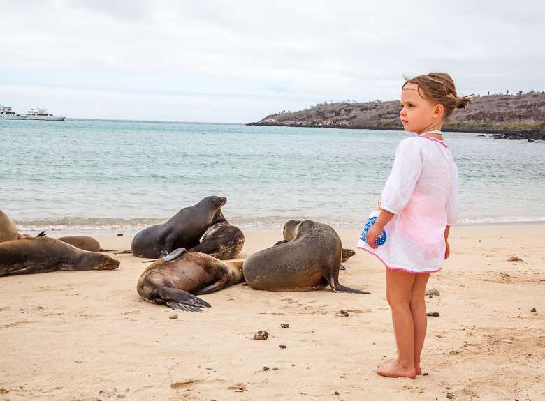 Ecuador Sante Fe Island Sea Lions | Landed Travel
