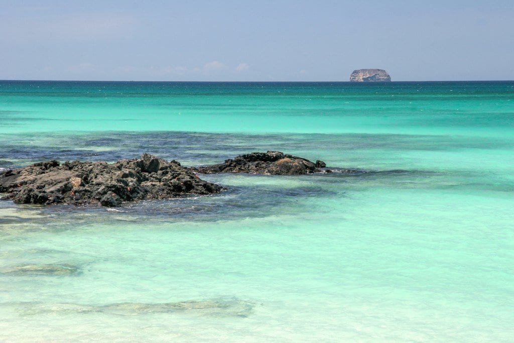 Ecuador Travel Galapagos | Landed Travel