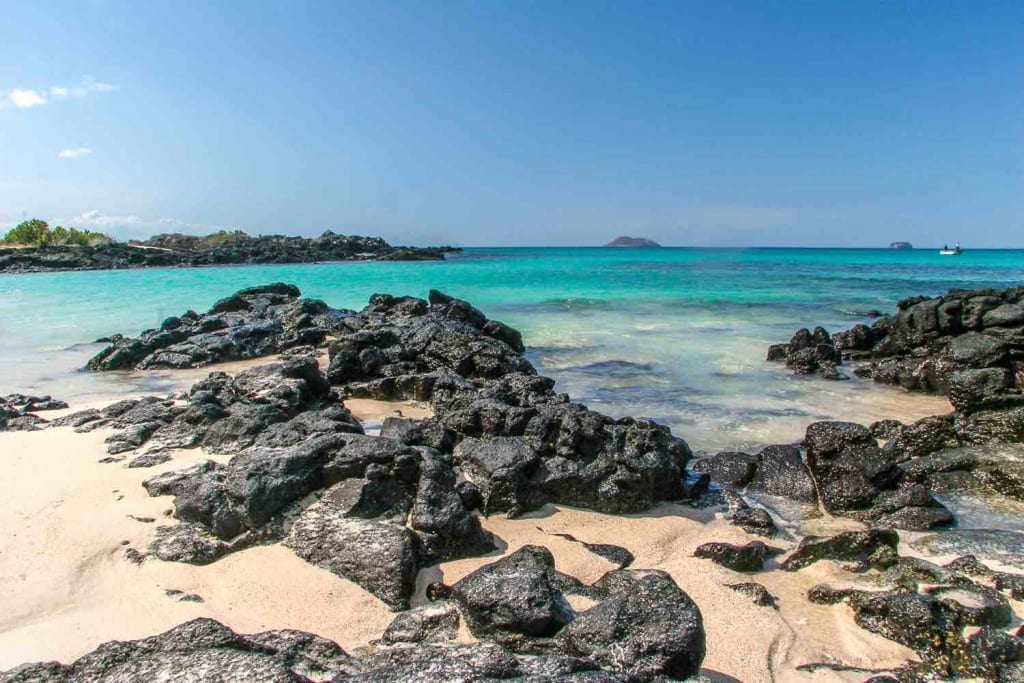 Galapagos Bachas | Landed Travel
