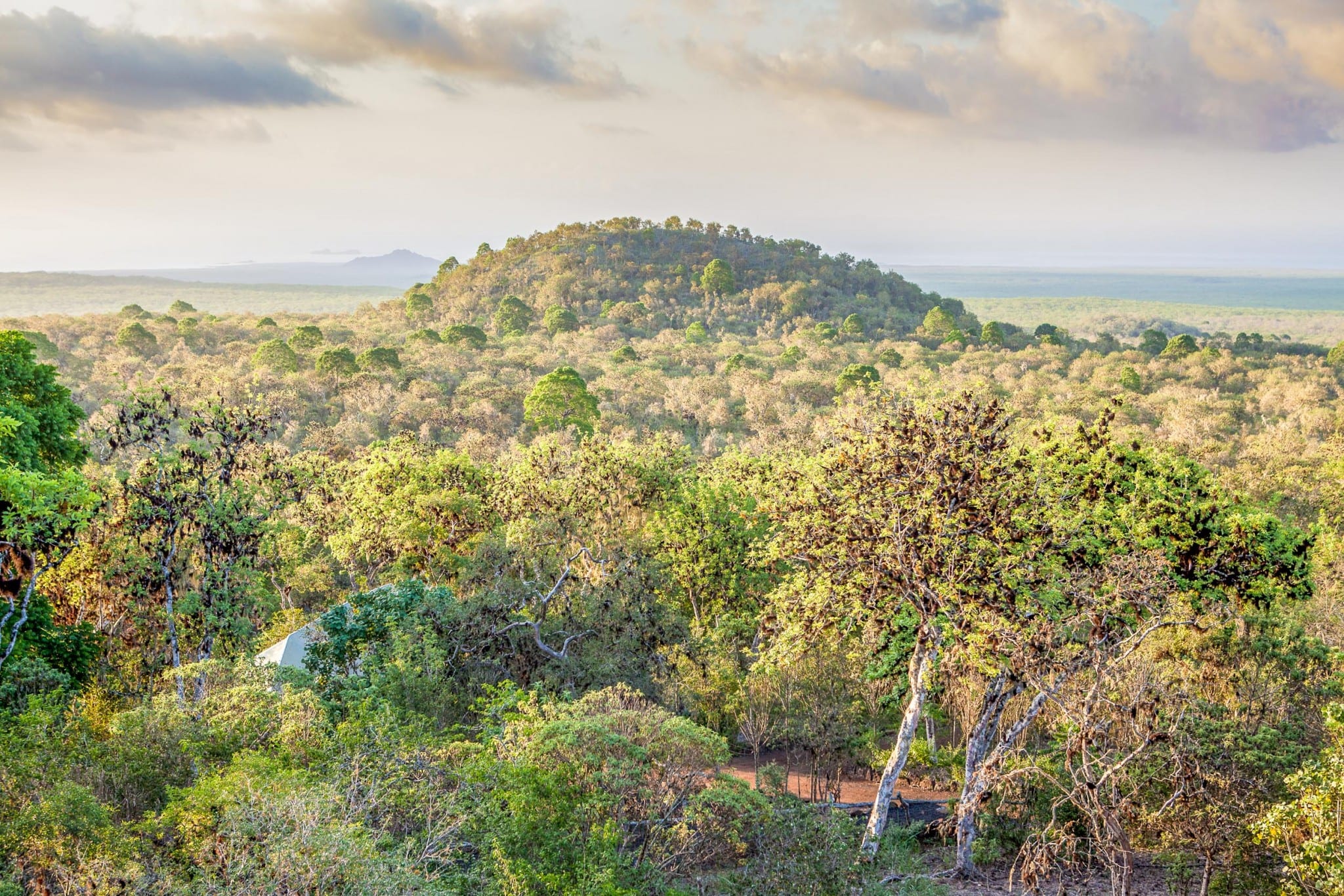 Galapagos Safari Camp