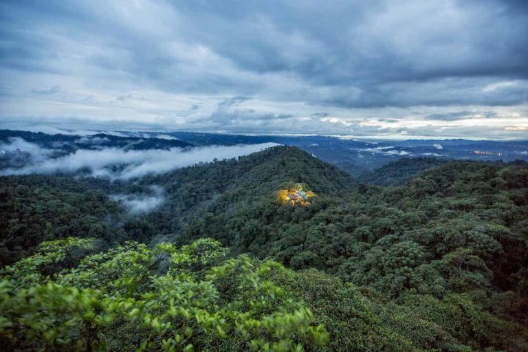 View of the rainforest from Mashpi Lodge