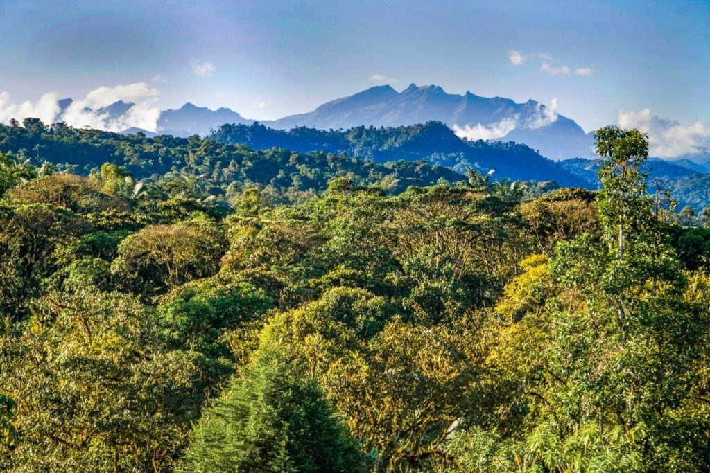 Mindo Ecuador | Landed Travel