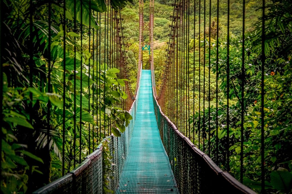 Montevderde Cloud Forest - Luxury Travel in Costa Rica by LANDED Travel