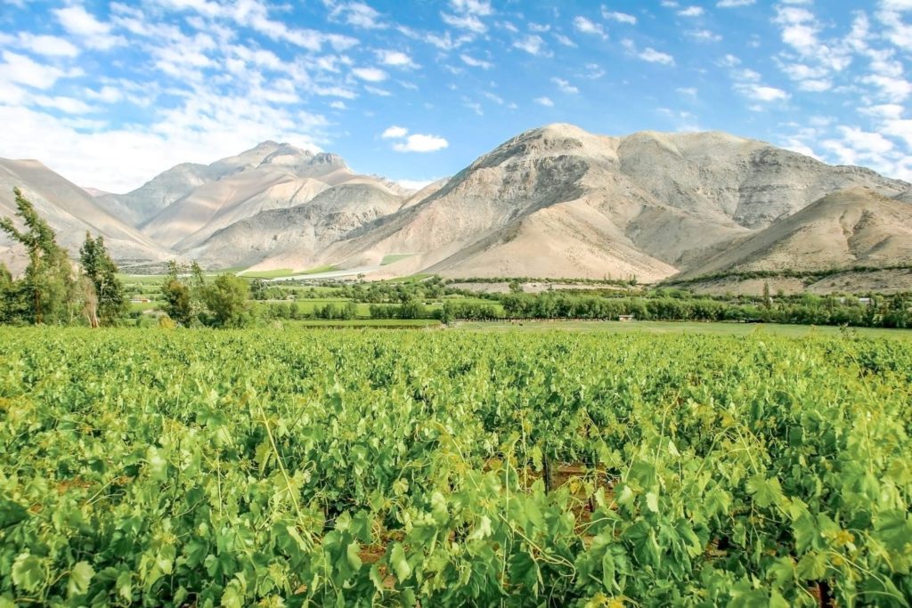 Norte Chico Elqui Valley Chile | Landed Travel