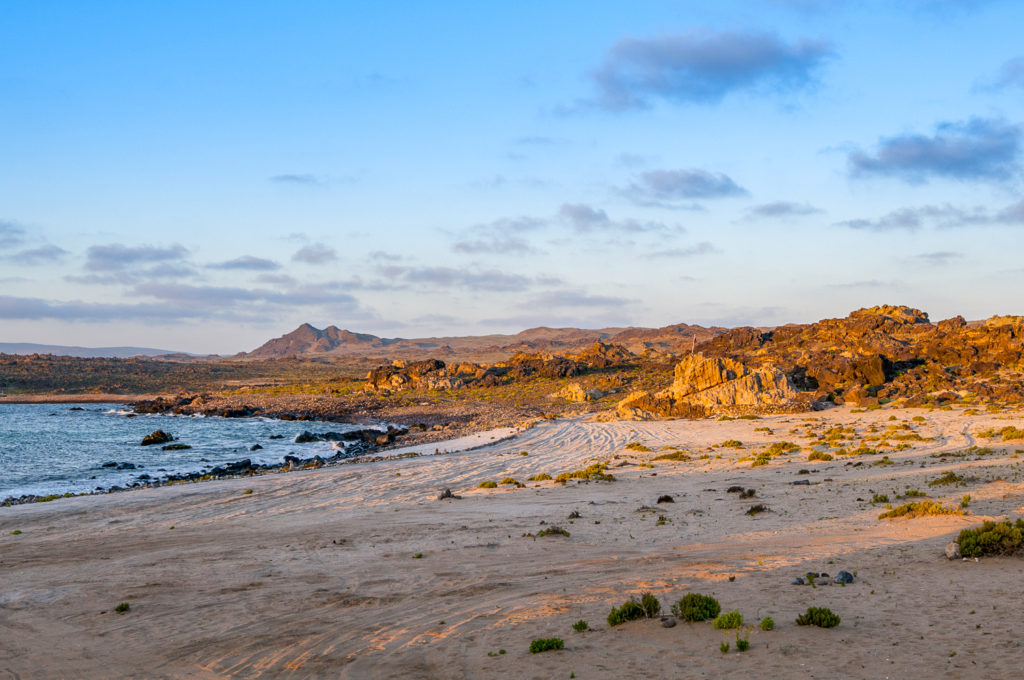 North Coast Chile | Landed Travel