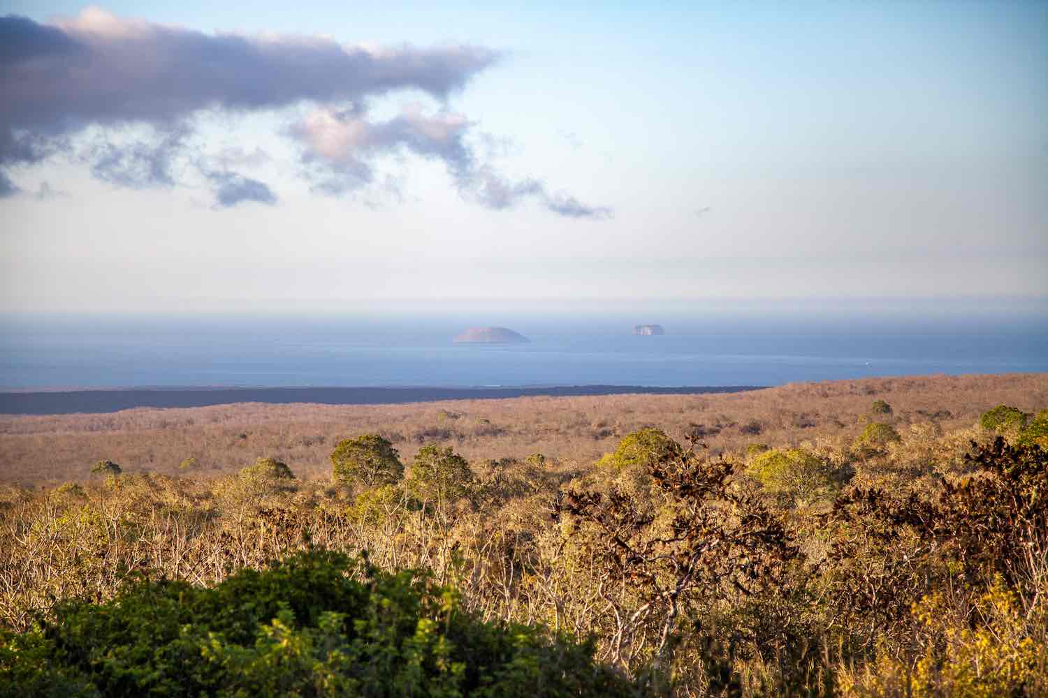 Safari Camp at Galapagos Luxury Travel