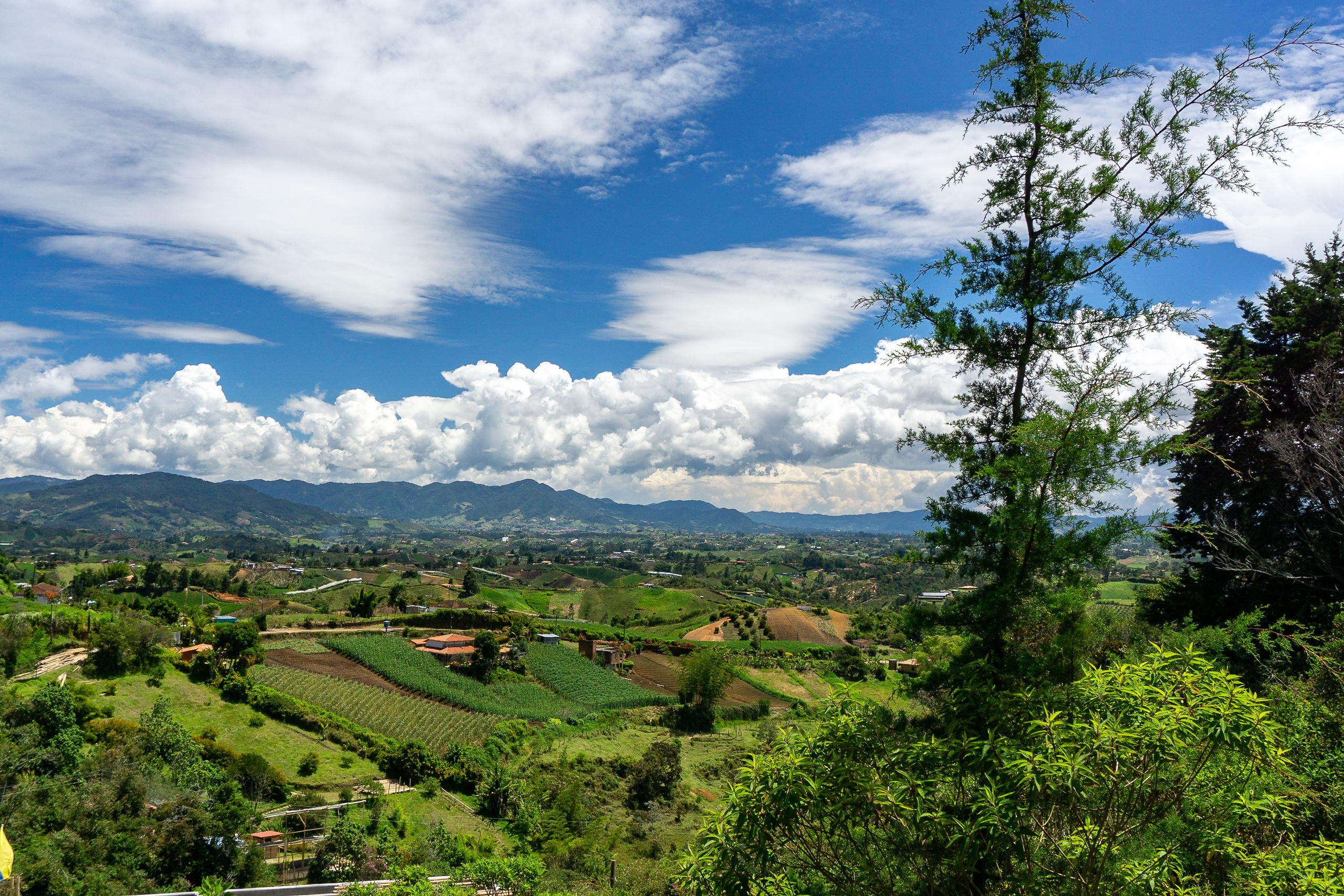 Cannúa