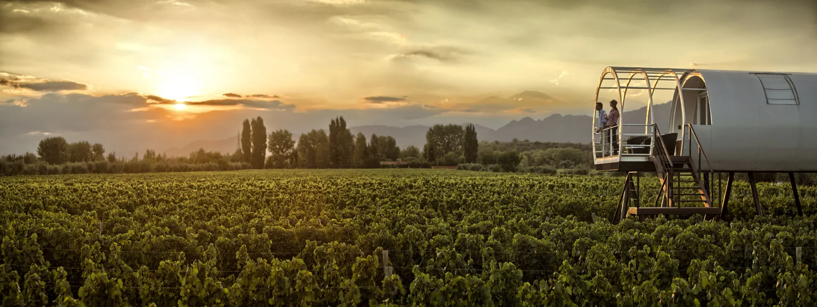Entre Cielos Sunset on the Vineyard