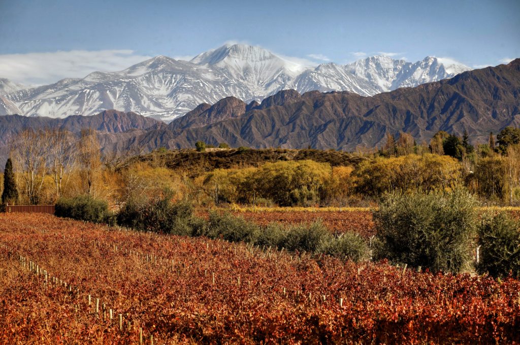 View from Entre Cielos of Mendoza, Argentina