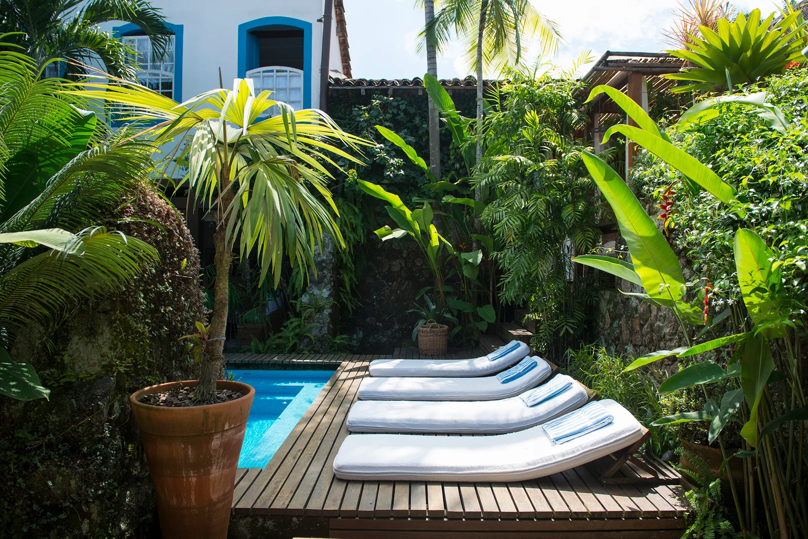 Pool-side chairs