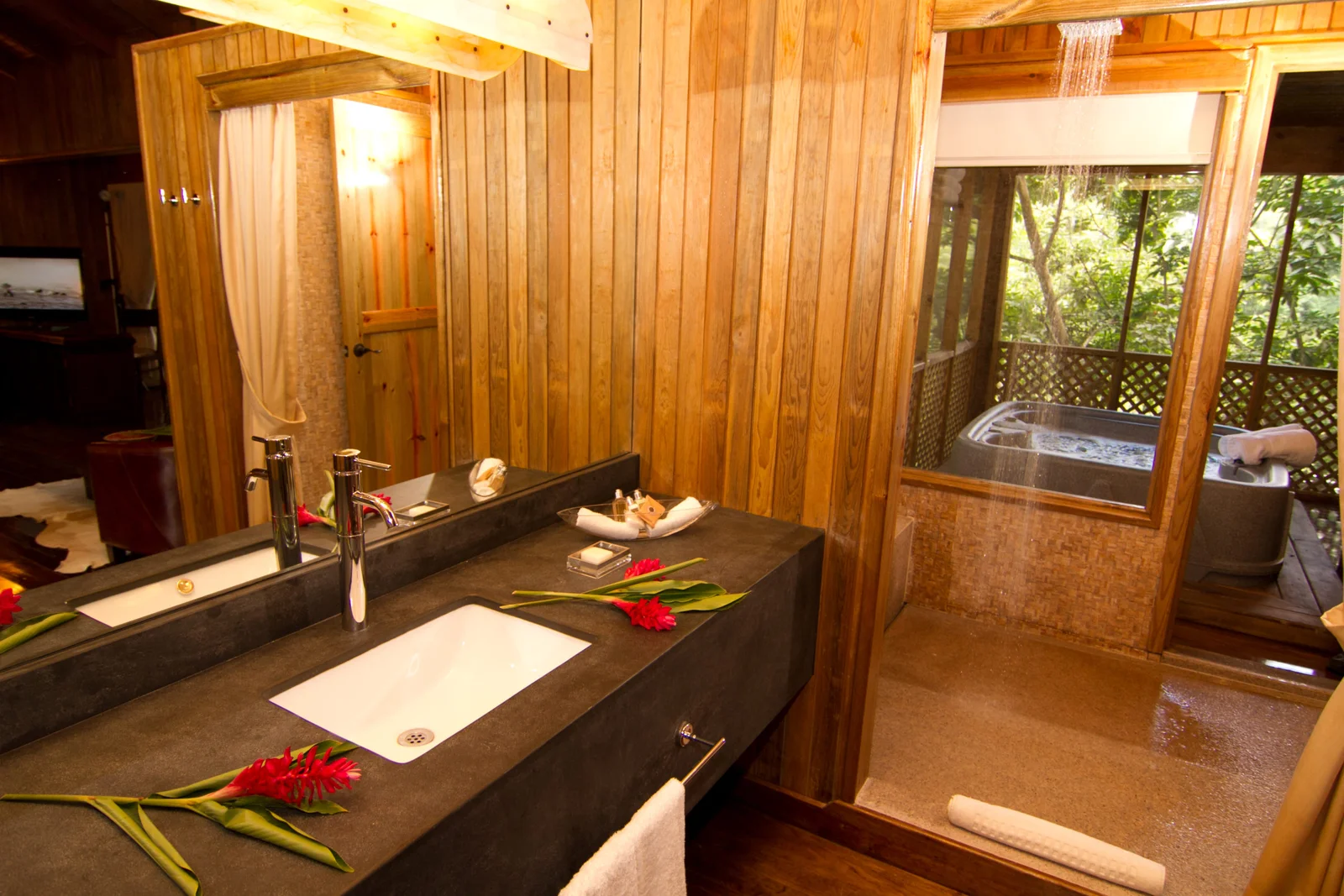 Master Suite - Bathroom