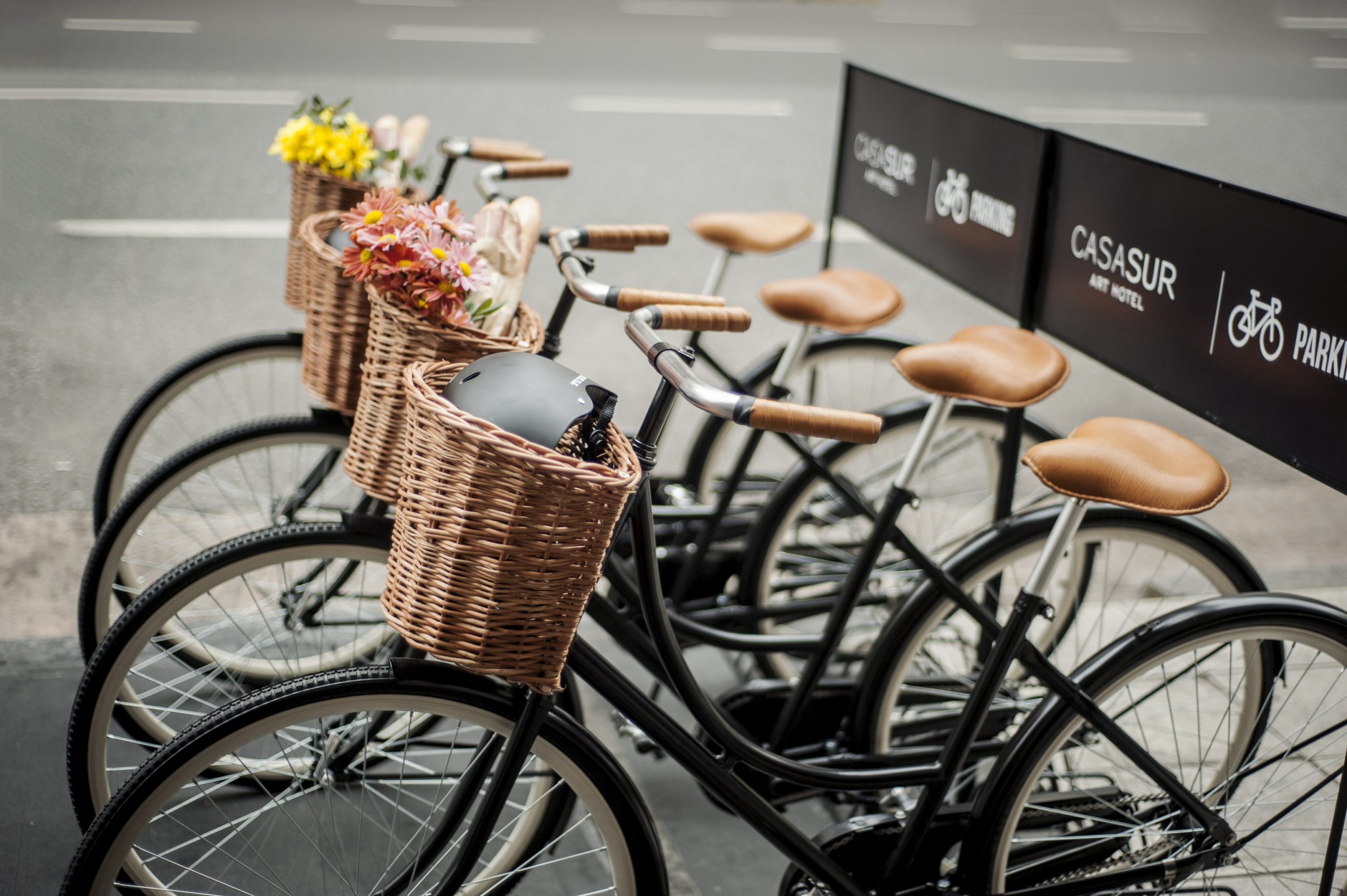 Casasur Recoleta Bicycling