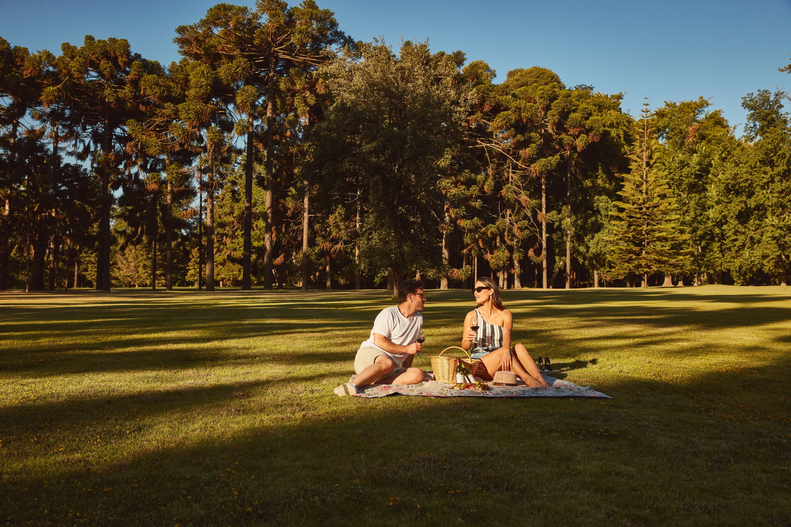 Picnic