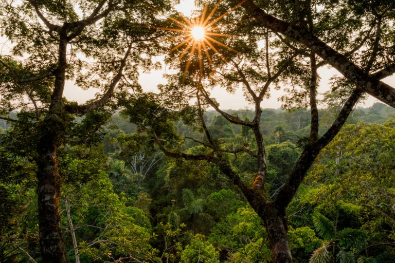 La Selva Lodge