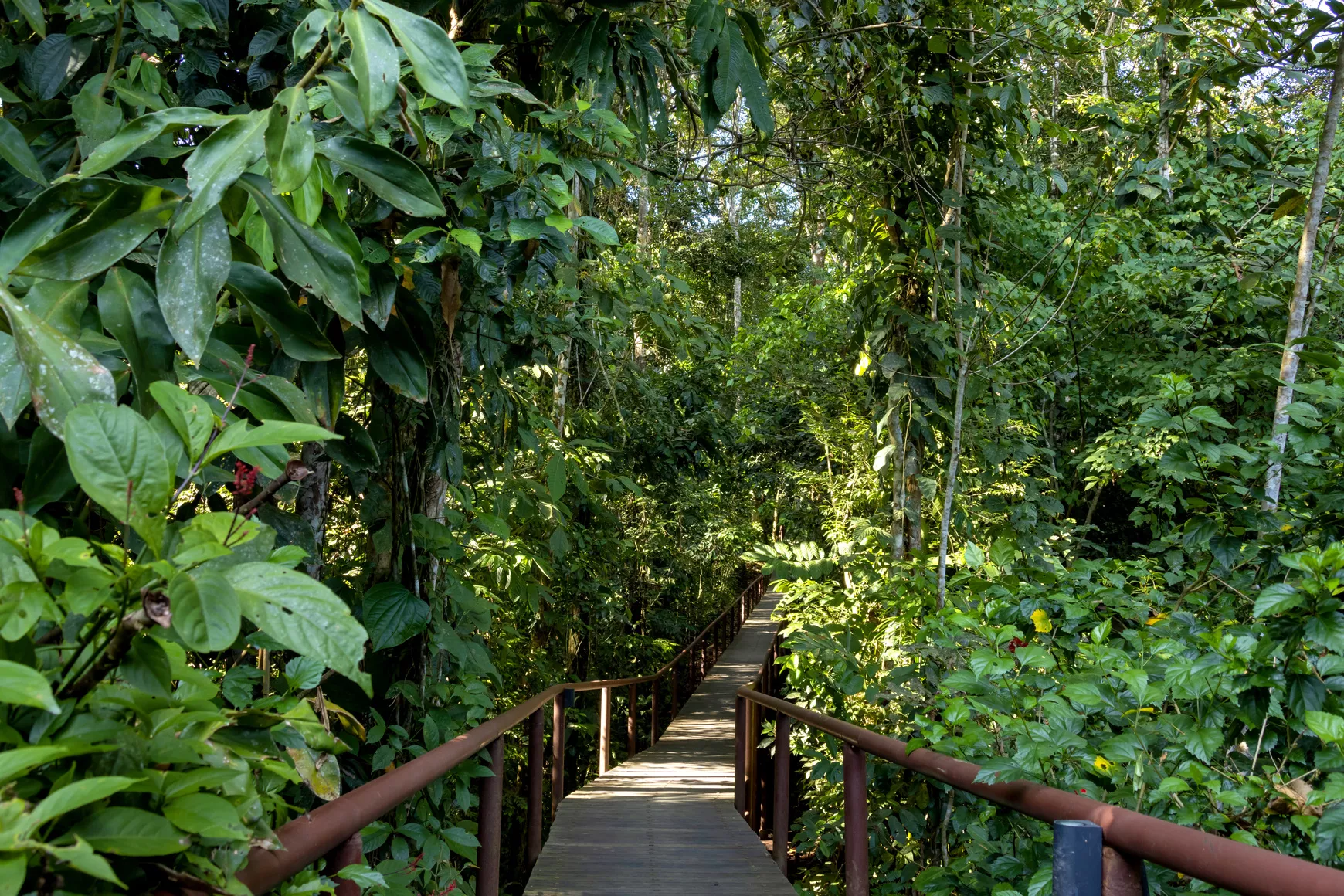 La Selva Lodge