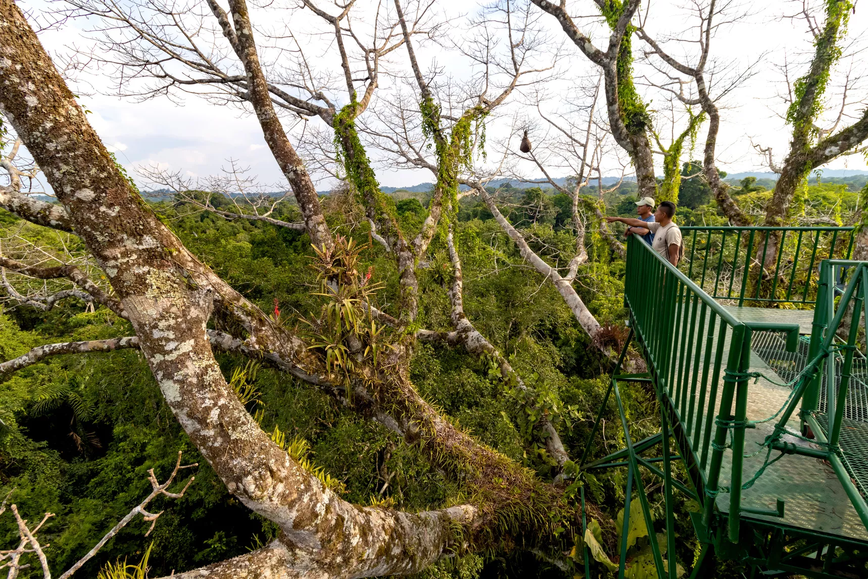 La Selva Lodge