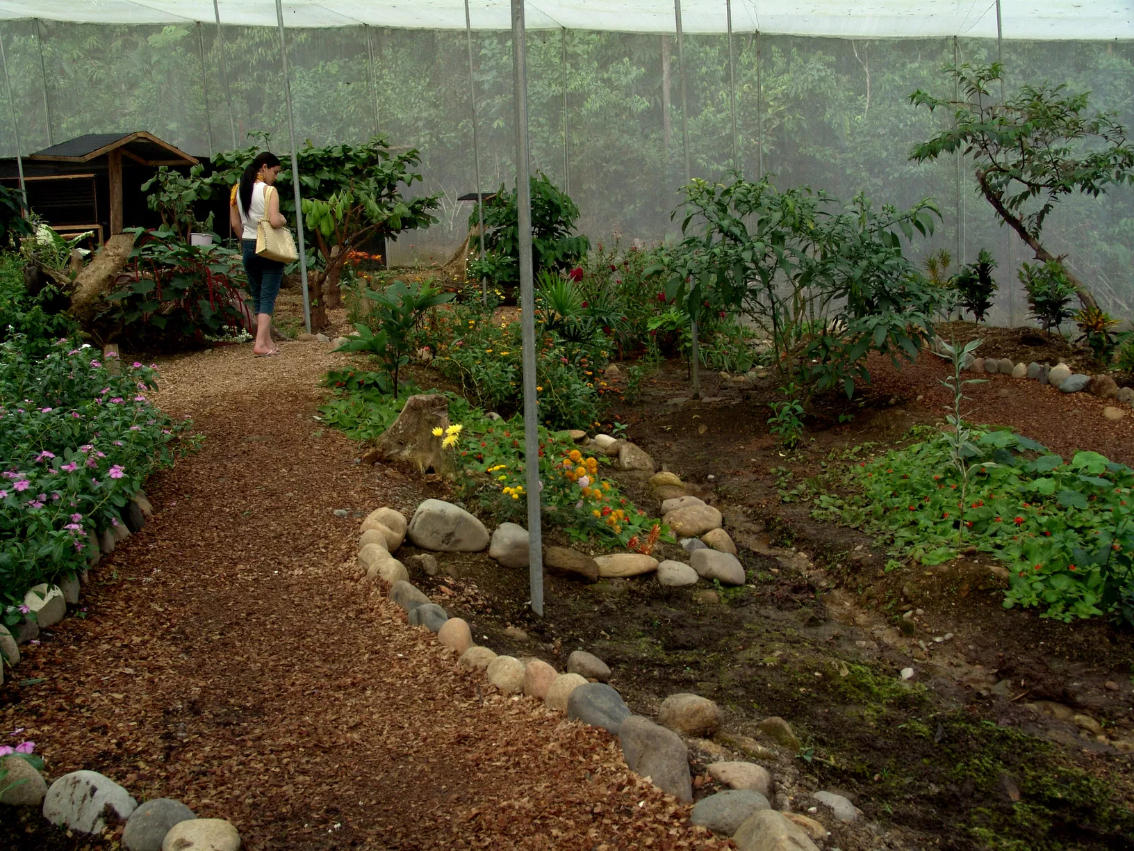 Butterfly House