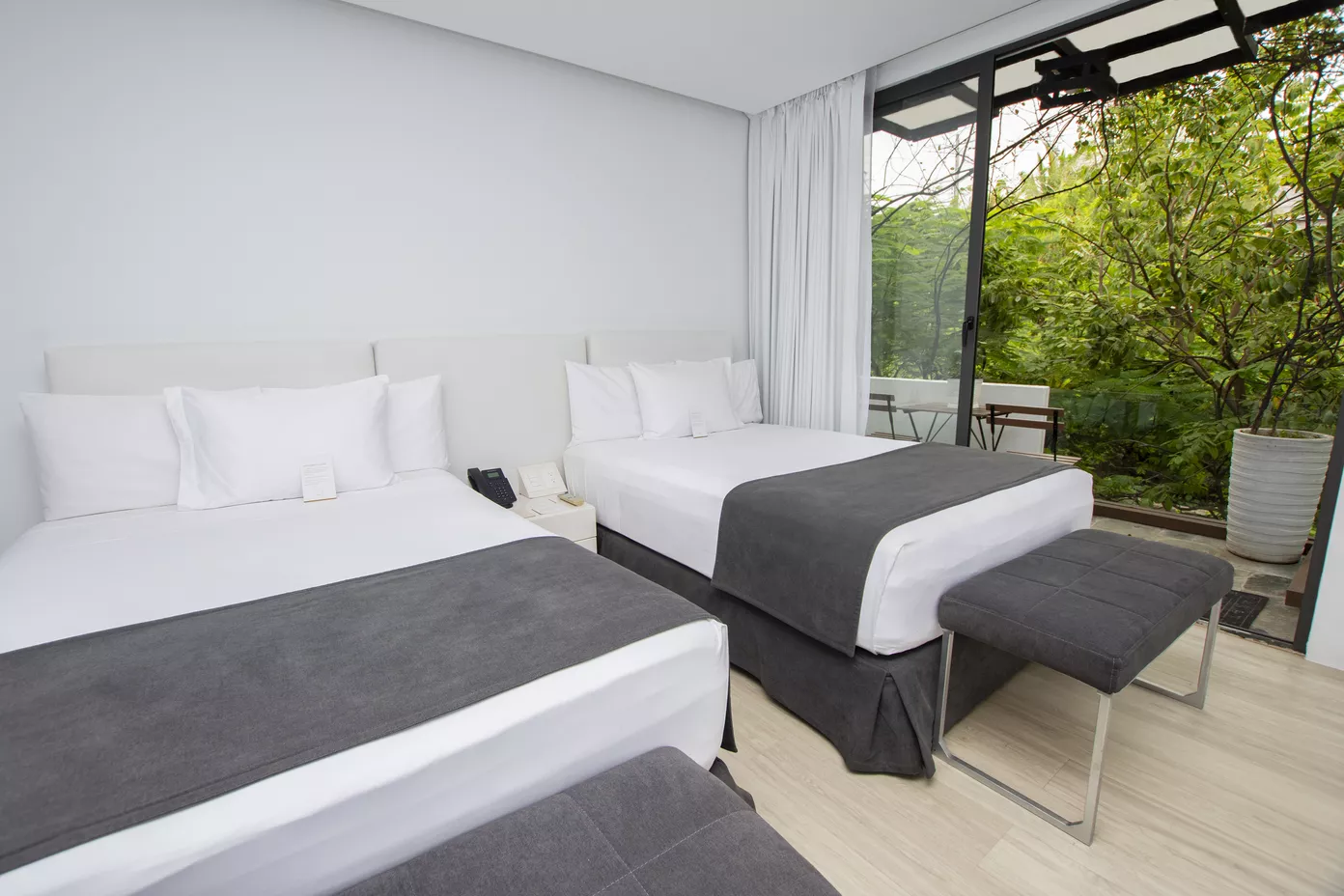 Garden View Room