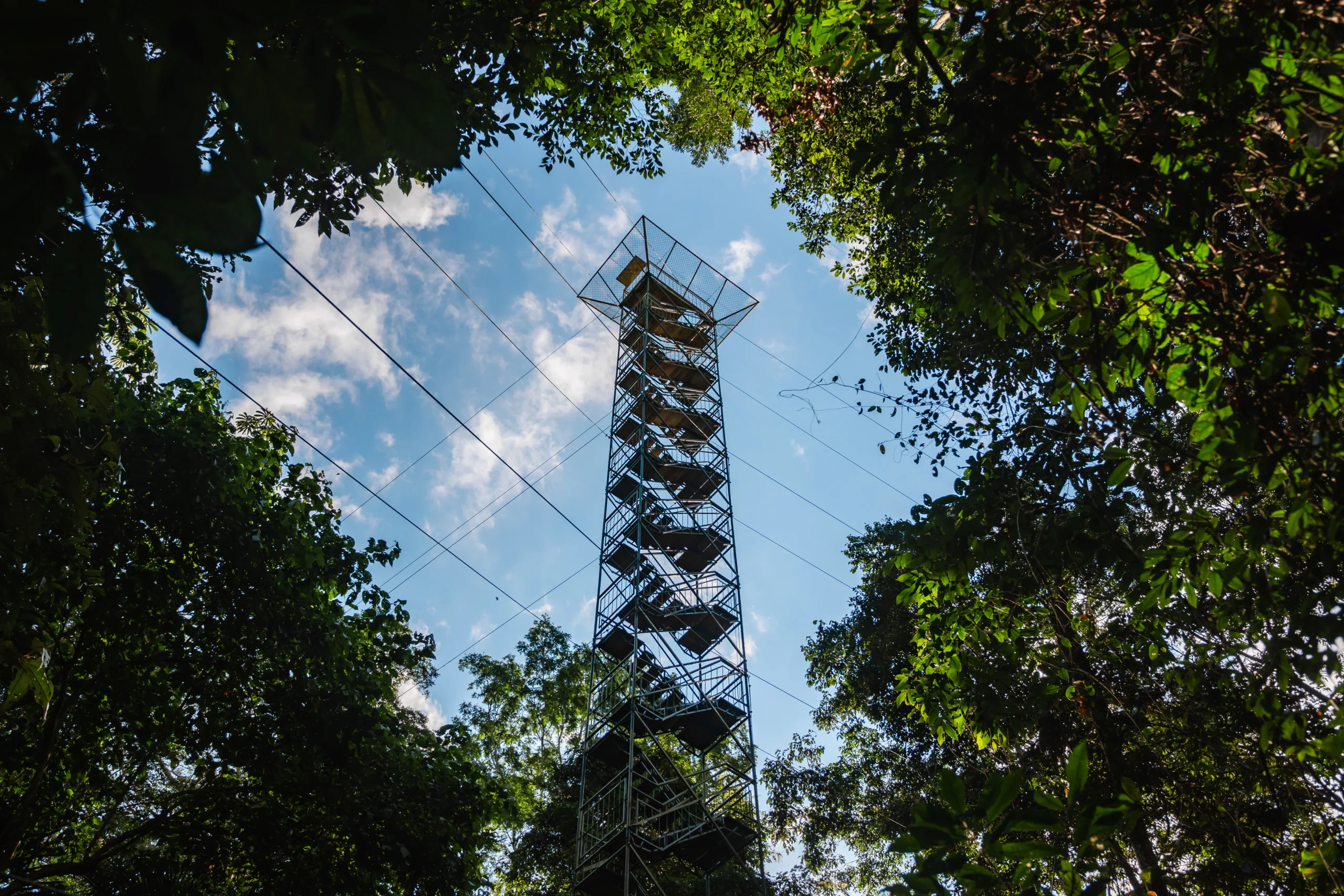 Canopy Tower