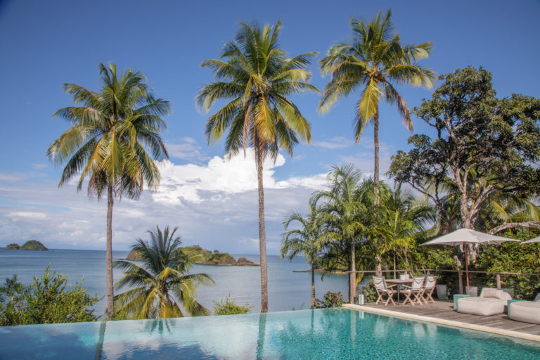 An infinity pool with a stunning ocean view and palm trees in the background