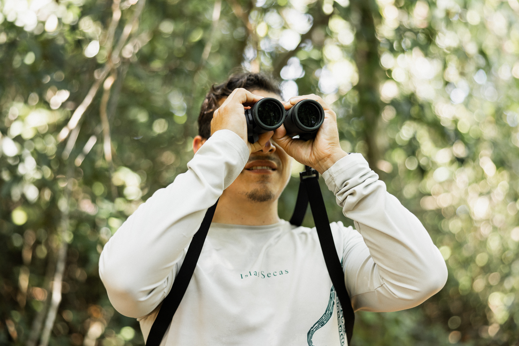 Wildlife observation: monkeys, sea turtles, whales, sharks & manta rays