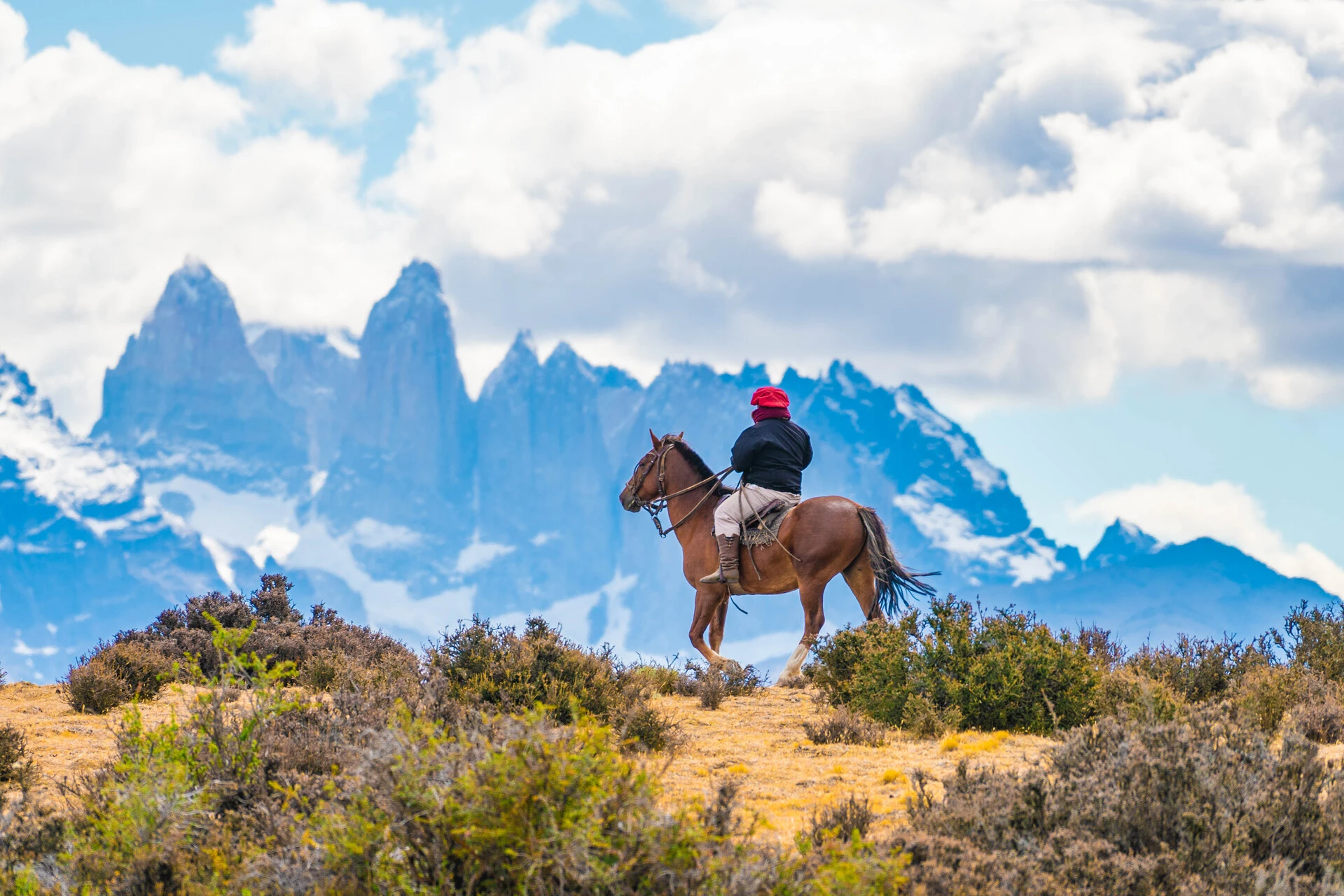 Horseback riding