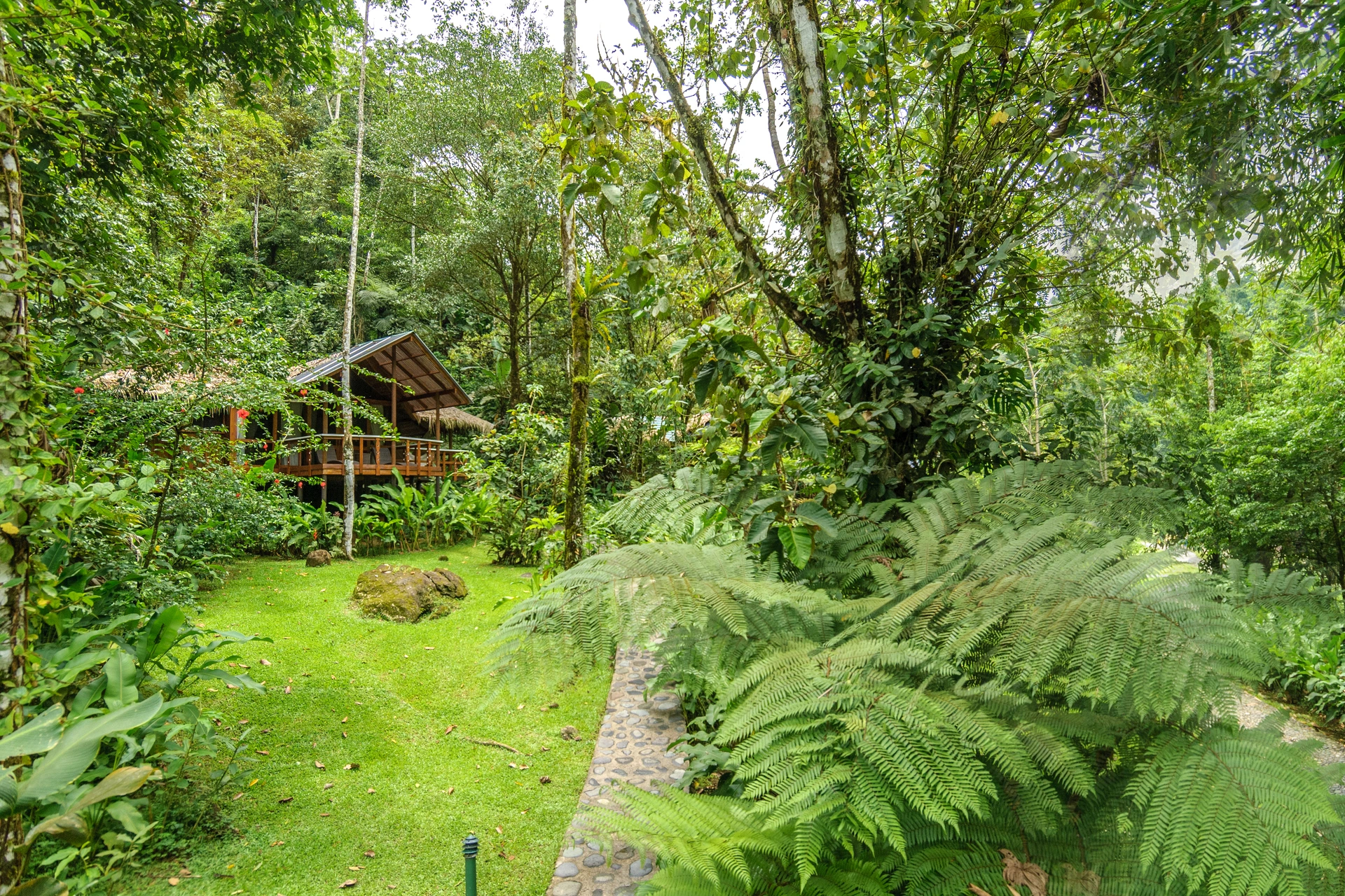 Pacuare Lodge River View Suite