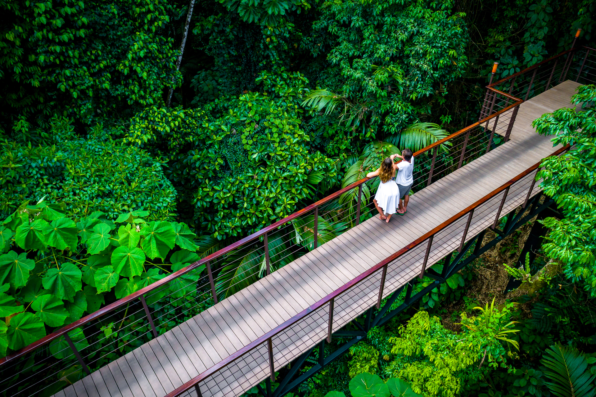Bridge Nayara