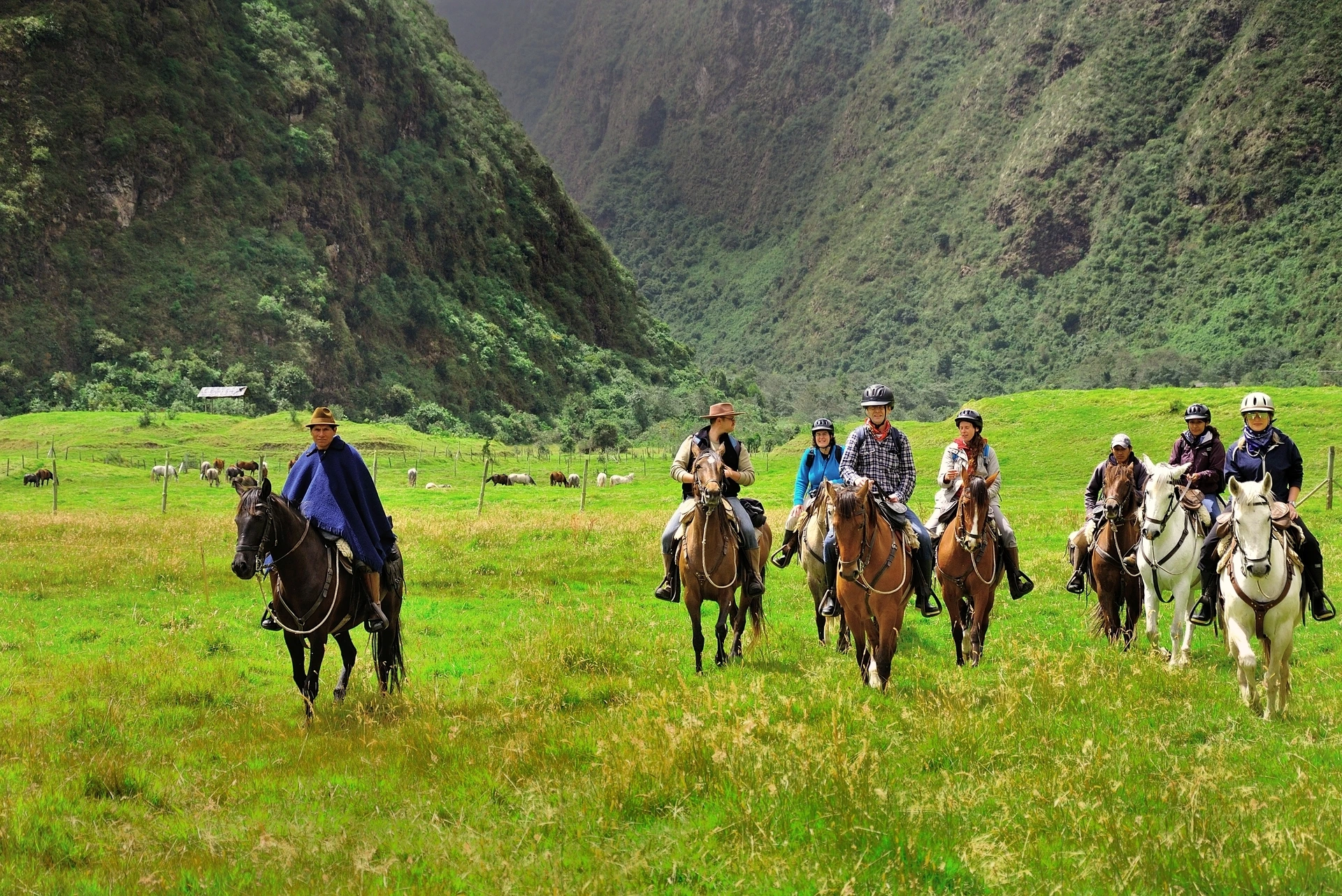 Horseback riding