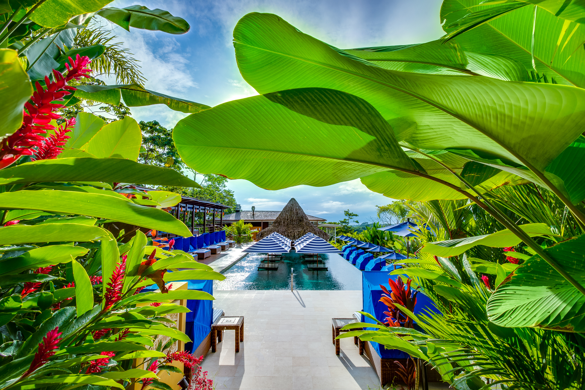 Nayara Springs - Swimming Pool