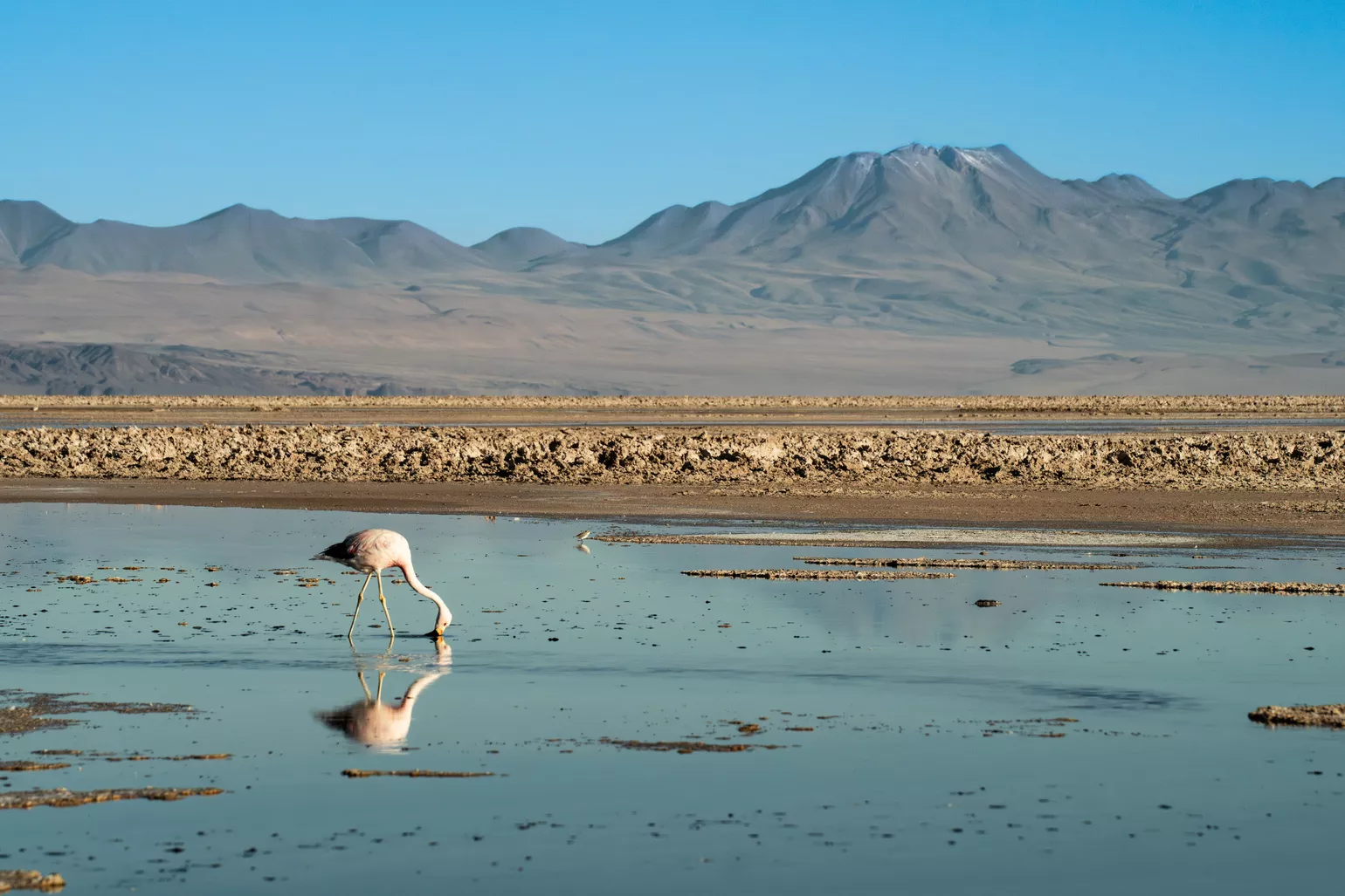 Awasi Atacama