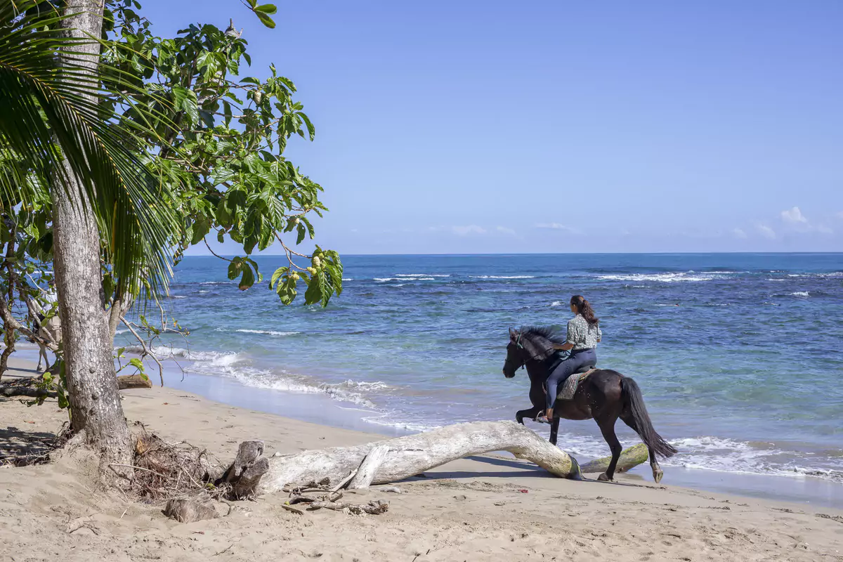 Hotel Aguas Claras - Horseback ridding