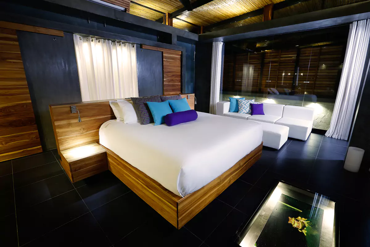 Kura Infinity Suite