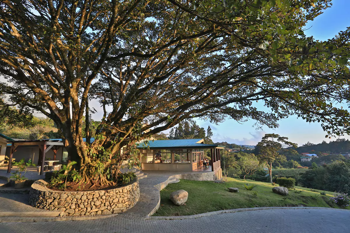Senda Landscape
