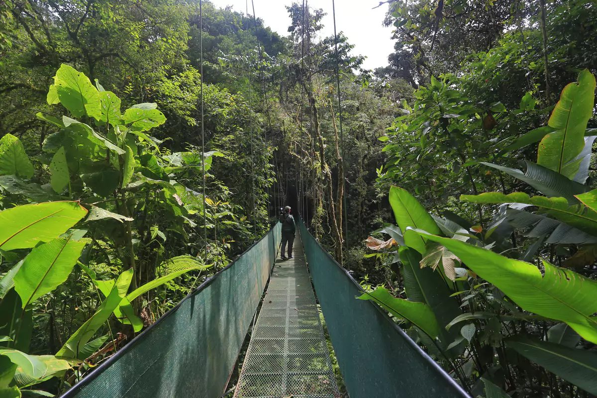 Senda Skywalk
