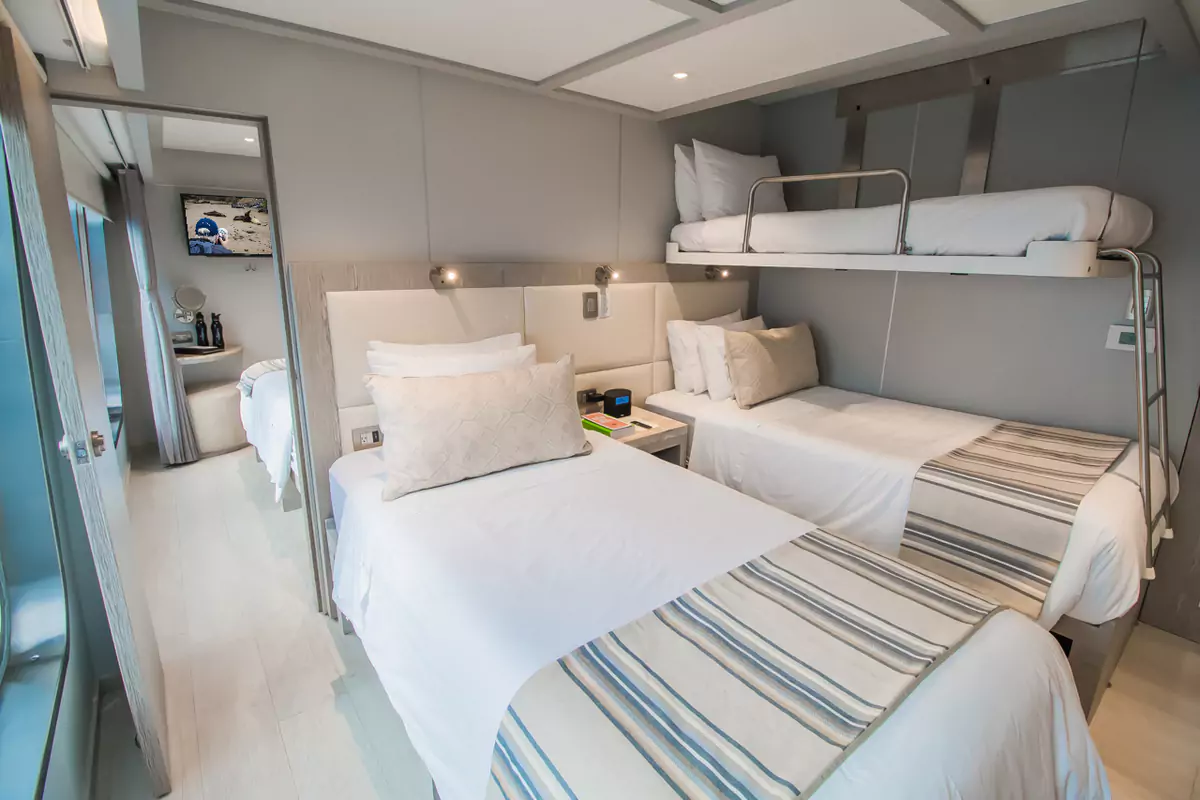 Evolve Triple Cabin