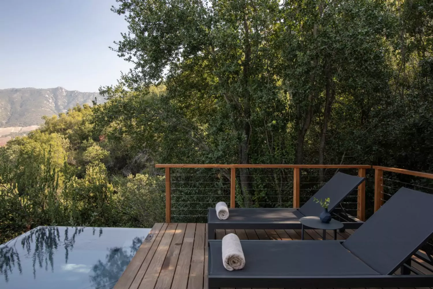 Villa Plunge Pool