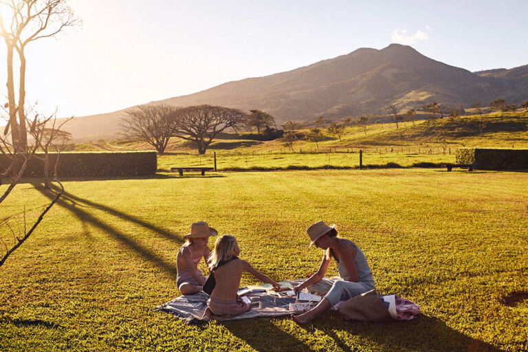 Picnic