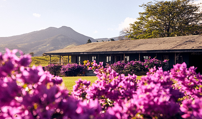 Hacienda Montezuma
