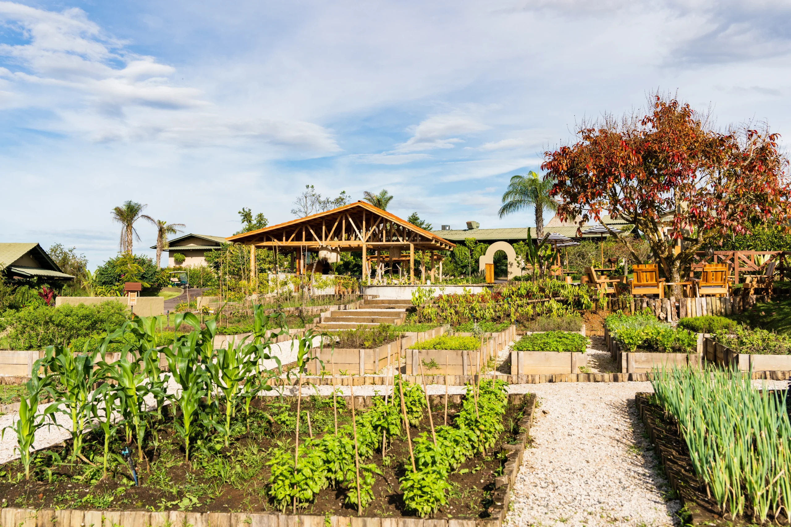 El Cultivo