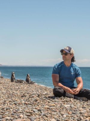 Sunning with the penguins at El Pedral